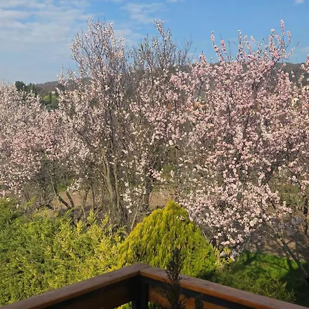 Var-lak Apartmanhaz * Balatonfured
